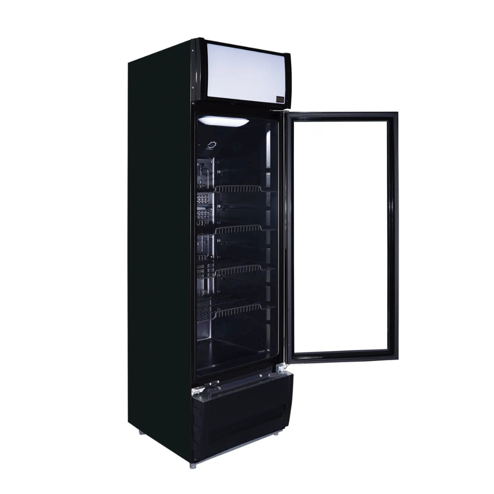 VISICOOLER 224L - LG265N